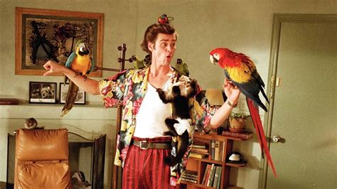 Ace Ventura: Pet Detective - Chuyến Phiêu Lưu Vui Nhộn Để Tìm Con Pets!